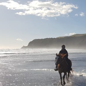 Ride horses on the beach - horse tours