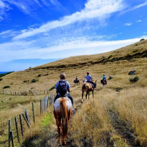 multi-day horse riding adventures in Raglan, Waikato
